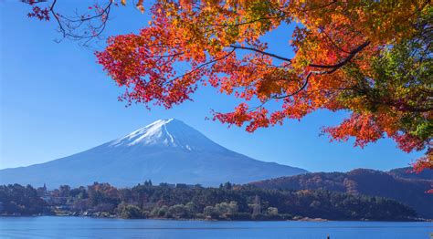 紅葉 風水